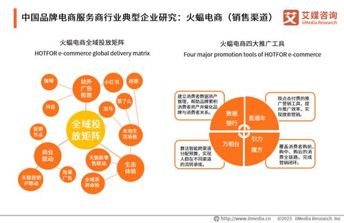 艾媒咨询 2023年中国品牌电商服务商行业研究报告